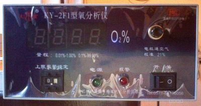 氧分析仪KY-2F1控氧仪 氧分仪 氧含量检测仪